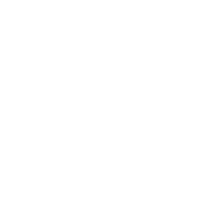 Github logo.